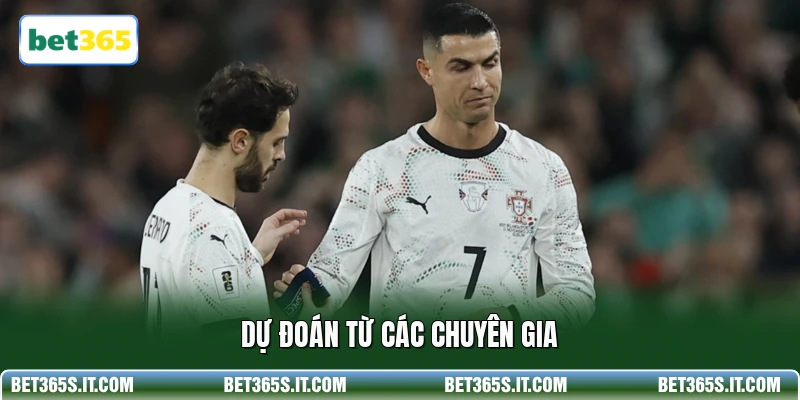Dự đoán từ các chuyên gia