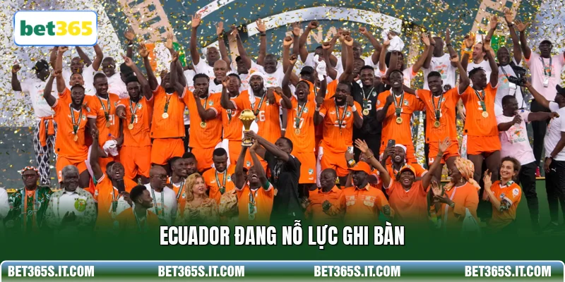 Ecuador đang nỗ lực ghi bàn