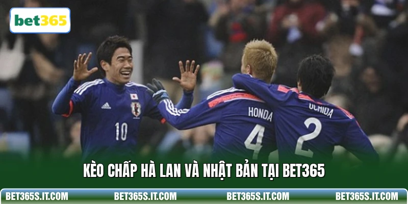 Kèo chấp Hà Lan và Nhật Bản tại BET365