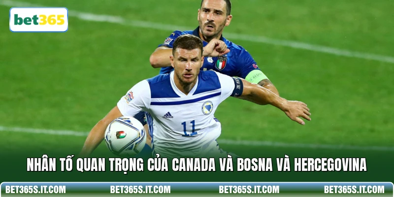 Nhân tố quan trọng của Canada và Bosna và Hercegovina