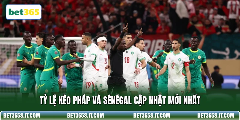 Tỷ lệ kèo Pháp và Sénégal cập nhật mới nhất