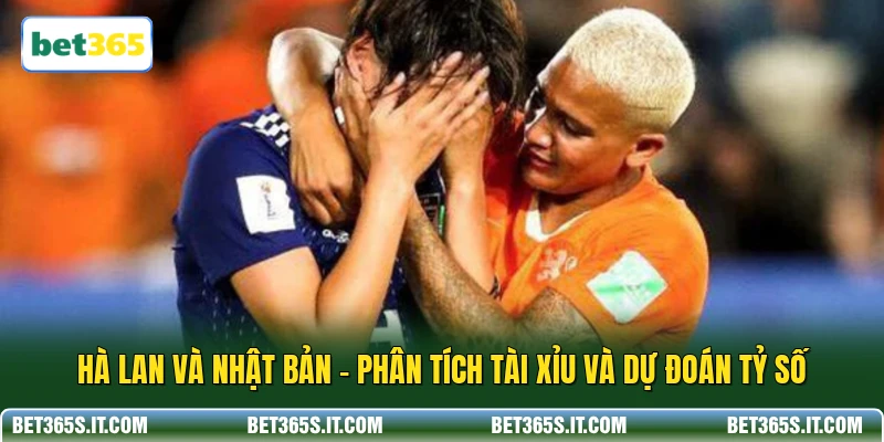 Hà Lan Và Nhật Bản - Phân Tích Tài Xỉu Và Dự Đoán Tỷ Số